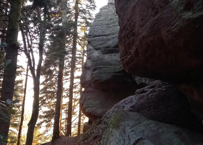 Vakantiehuis Maison Confort La Voivre (Vosges)