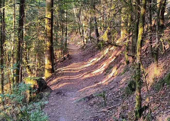 Maison Confort Vakantiehuis